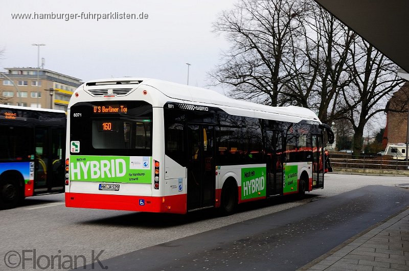 23) 8371-24,Jasper,FK.jpg